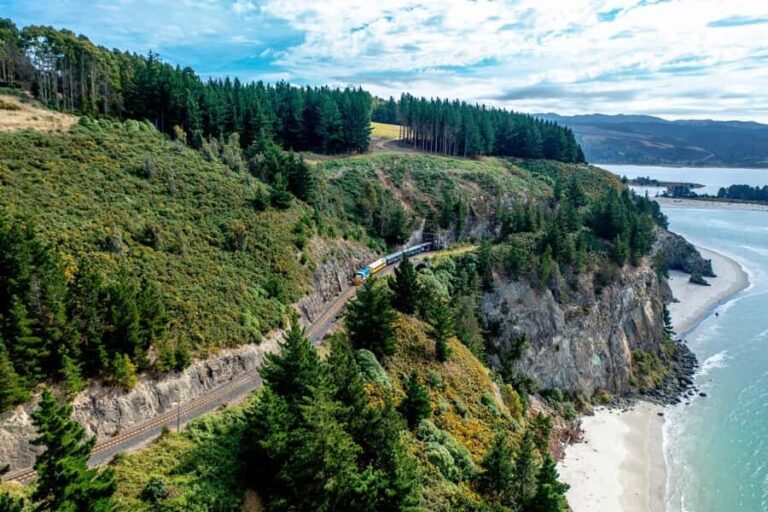 Dunedin Cruise Excursion: Express Coastline Rail Tour - The Experience in Detail