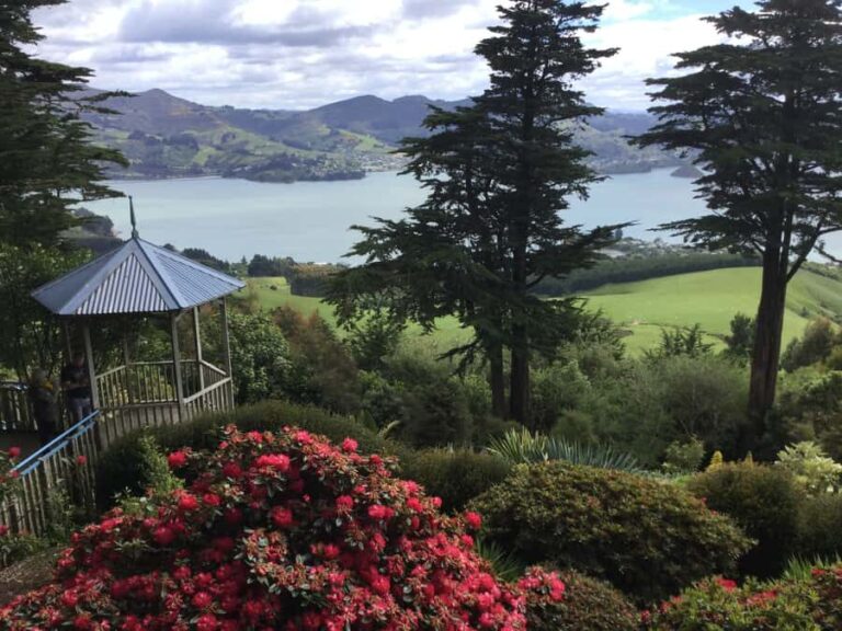 Dunedin: Peninsula with Lanarch Castle gardens & Olveston - Exploring Dunedin City: A Quick Look at the Highlights
