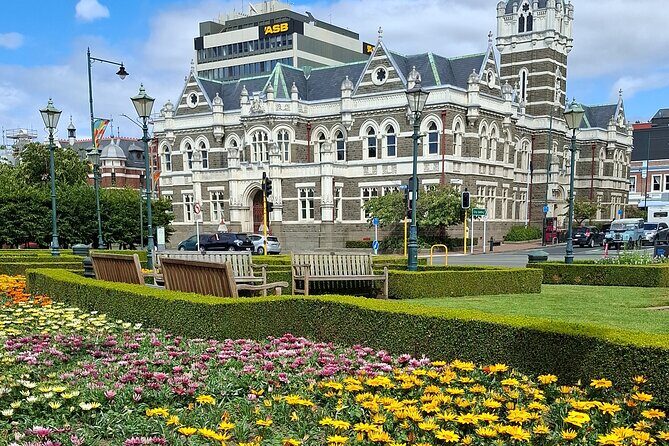 Dunedin Private Airport Transfers - Real Traveler Insights and Expectations