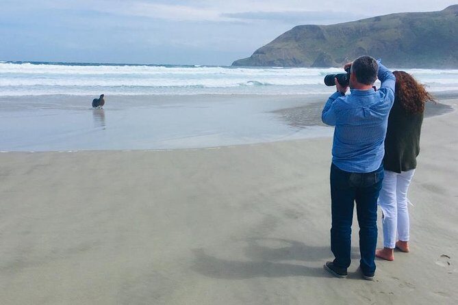 Dunedin Shore Excursion: Small-Group Tour of Dunedin and the Otago Peninsula - Insights from Travelers