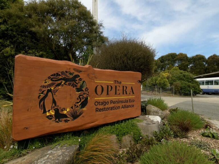 Dunedin: Wildlife and Penguin Tour - The Sum Up: Who Will Love This Tour?