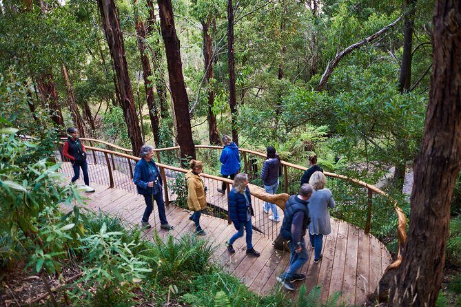 Dusk Discovery Tour - Why It’s a Good Deal