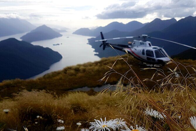 Dusky Sound // Helicopter Scenic Flight - Pricing and Value