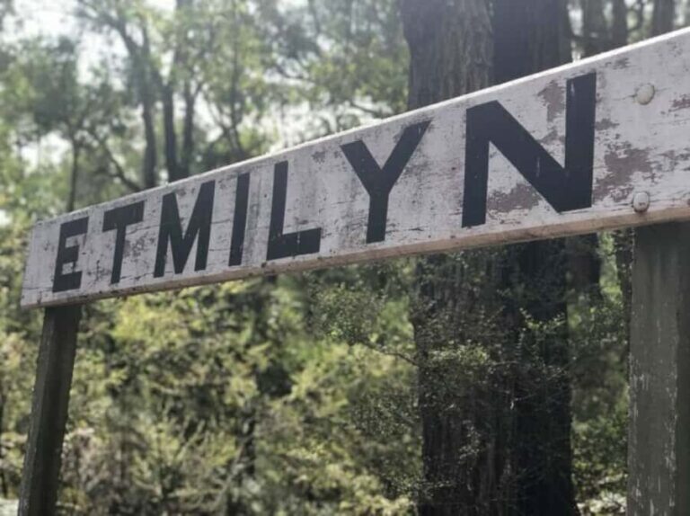 Dwellingup: Guided Hike and Scenic Train Ride with Lunch - The Value of the Experience