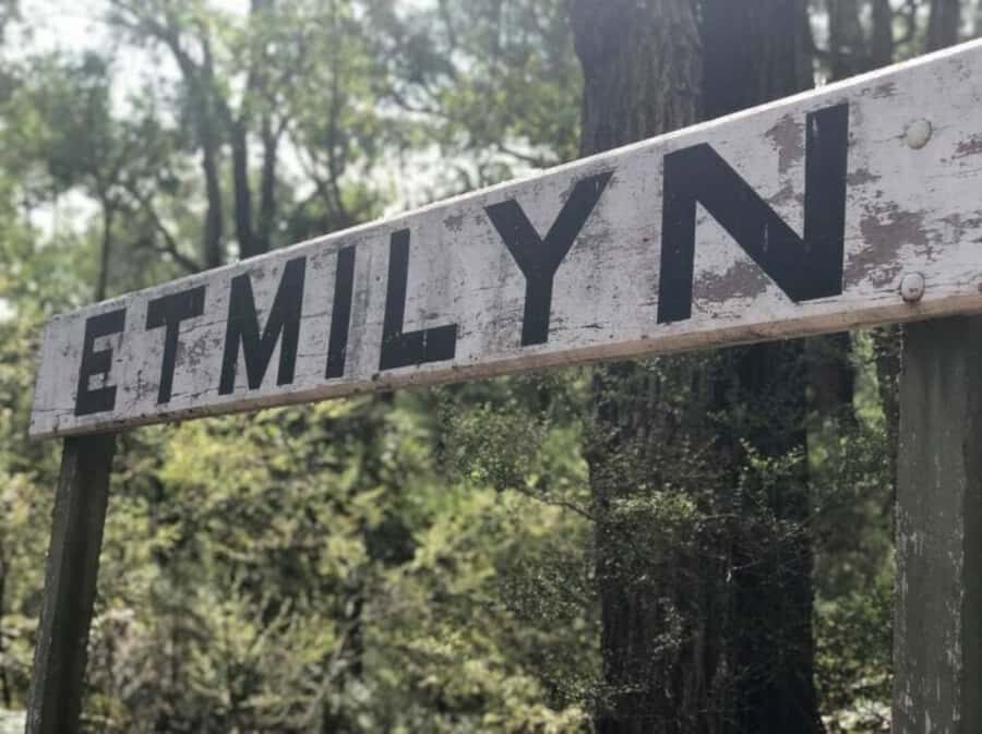 Dwellingup: Guided Hike and Scenic Train Ride with Lunch - The Value of the Experience
