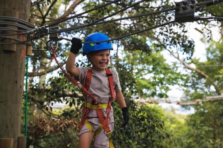 Dwellingup: Junior Tree Ropes Course - The Value of the Experience