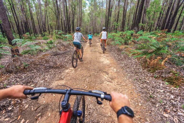 Dwellingup: Munda Biddi Explorer - The Experience in Detail