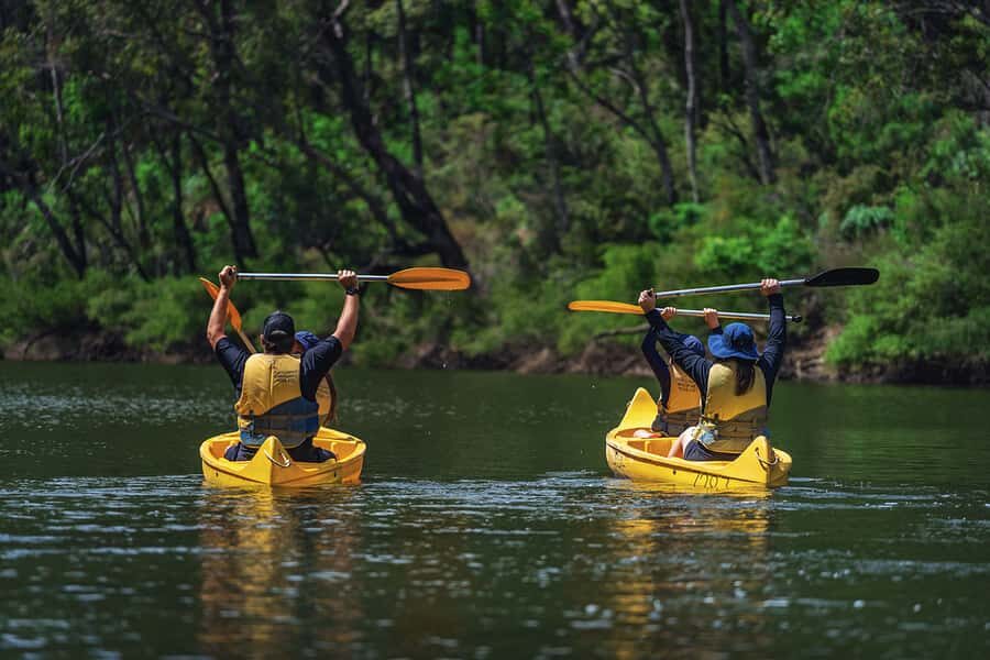 Dwellingup: Paddle 'n' Picnic Self-Guided Tour - Final Thoughts