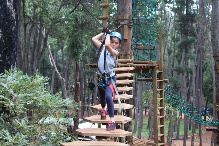 Dwellingup: Tree Ropes Course - The Overall Experience: Pros and Cons