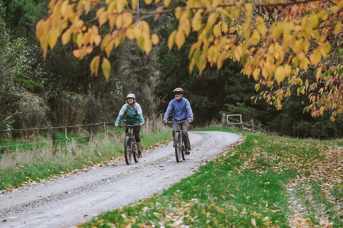 E Bike Adventure on The Laughing Moa Loop - Deep Dive into the Itinerary