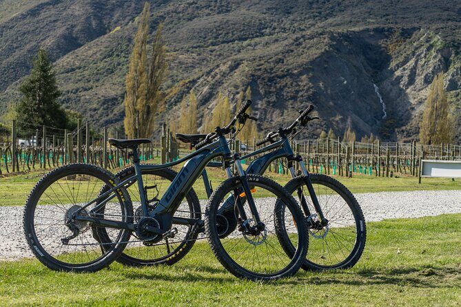 E-Bike Adventures Through the Wineries in Gibbston - Pricing and Value