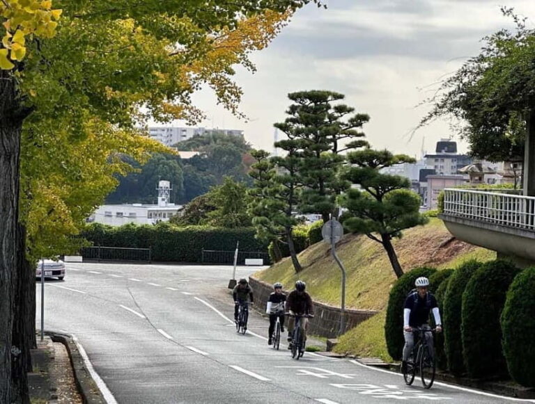 e-bike tour Himeji Castle Town along the old roads - Who Will Love This Tour?