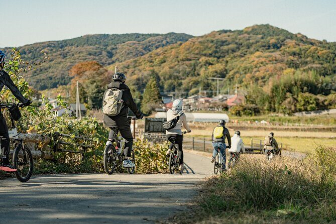E-bike tour in the country side of Saitama near Tokyo - What Travelers Say and Why It Matters