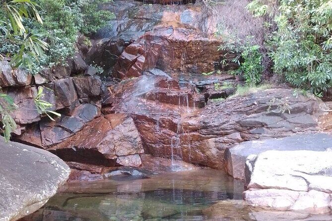 Early Season Waterfall Kakadu Full Day Tour - What You’ll Really Experience