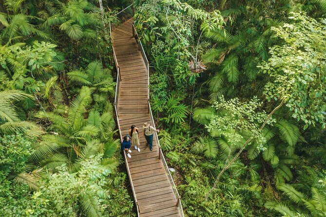 East Coast Australia 16 Day Comfort Tour from Sydney to Daintree - A Deep Dive into the Itinerary