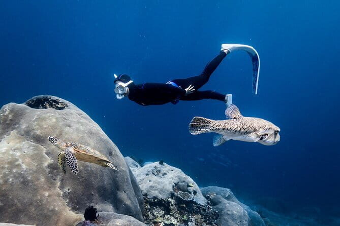 East Coast of Nusa Penida Private Snorkeling - Practical Tips for Participants