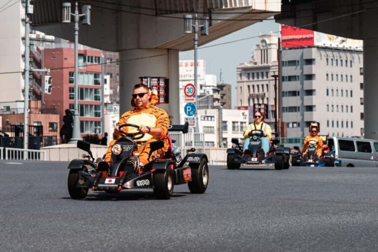 East Tokyo Go-Kart Tour - Price and Value: Is It Worth It?