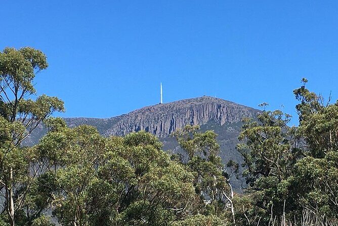 Easy Bike Tour - Mt Wellington Summit Descent & Rainforest Ride - What Makes This Tour Special?