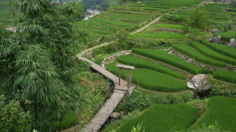 Easy Trek in Sapa mountain : Y Linh Ho - Lao Chai - Ta Van - The Itinerary in Detail
