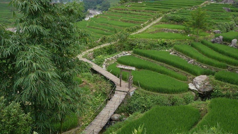 Easy Trek in Sapa mountain : Y Linh Ho - Lao Chai - Ta Van - The Itinerary in Detail