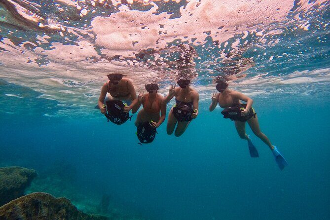 Eco Friendly Sea Scooter Turtle Tour in Rarotonga - Pricing and What You Get