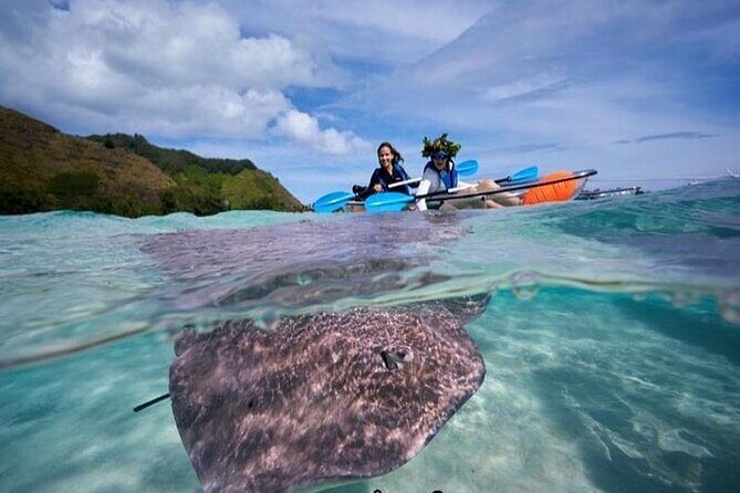 Eco guided excursion to the lagoon of Moorea in a transparent kayak Afternoon 2h - Authentic Experiences and Traveler Feedback