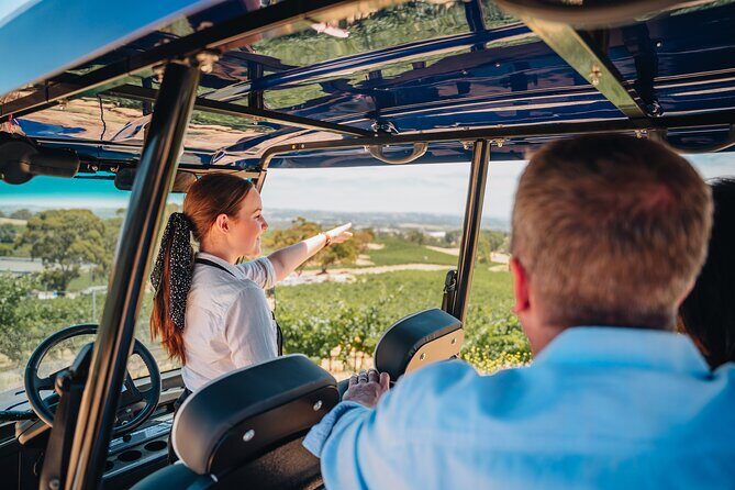 EcoVine Explorer Vineyard E-Cart Tours - Why This Tour Offers Real Value