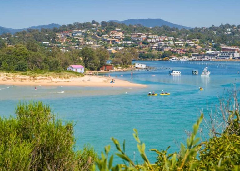 Eden: Sapphire Coast 4 Hour Shore Excursion - An In-Depth Look at the Tour Itinerary and Experience