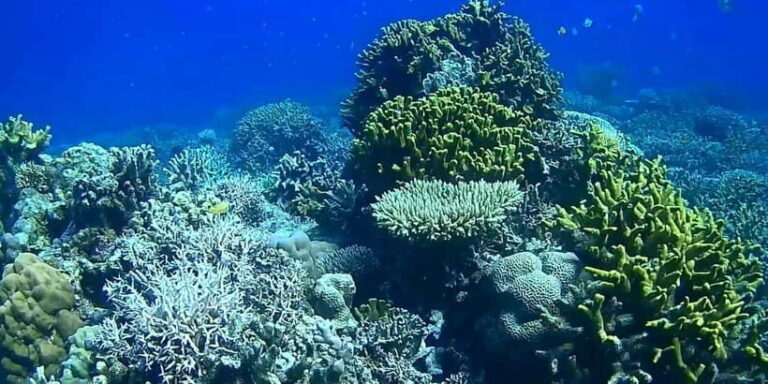El Nido, Sibaltan: Private Snorkeling & Secret Islands Tour - Authentic Experiences That Support Local Life