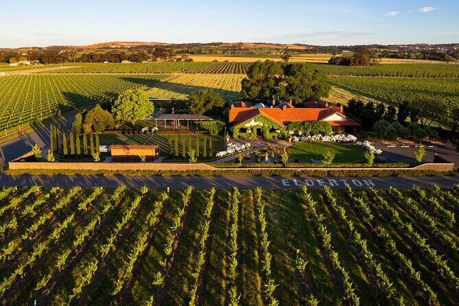 Elderton Elite Tasting Experience - Who Should Consider This Tour?