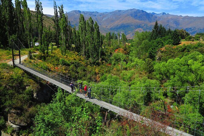 Electric Bike and Wine Tour Queenstown - The Wine Tasting Experience: Boutique Wineries and Personalised Tours