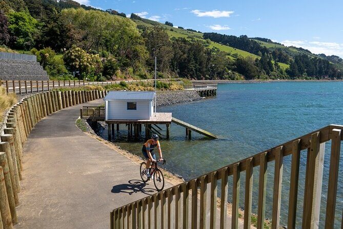 Electric Bike Rental - The Complete Experience Breakdown