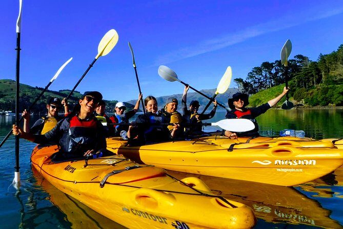 Electric Mountain Bike & Sea Kayak Tour in Akaroa - Who Will Enjoy This Tour?