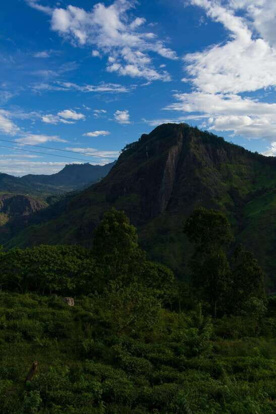 Ella: The Pekoe Trail Stage 16 - Ella to Demodara - The Value of the Tour