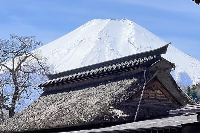 English-speaking Guided Tour:Mount Fuji & Hakone, Private Vehicle - Practical Details and Tips