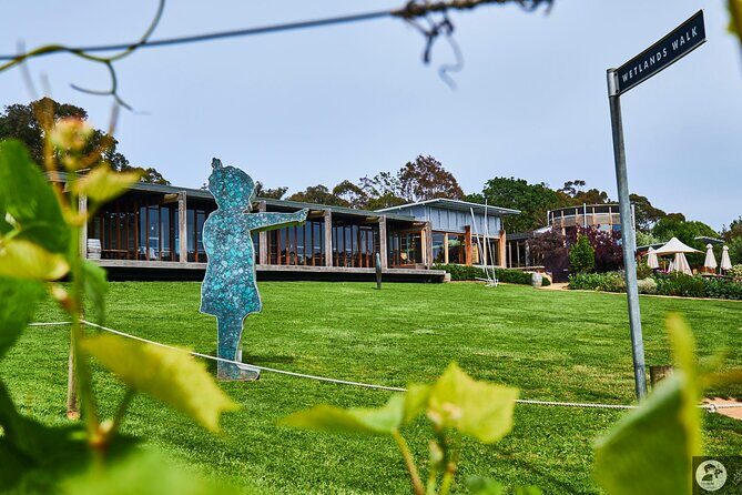 Estate to Plate: Montalto Vineyard Gourmet Lunch and Wine-Tasting Tour - Exploring the Montalto Estate