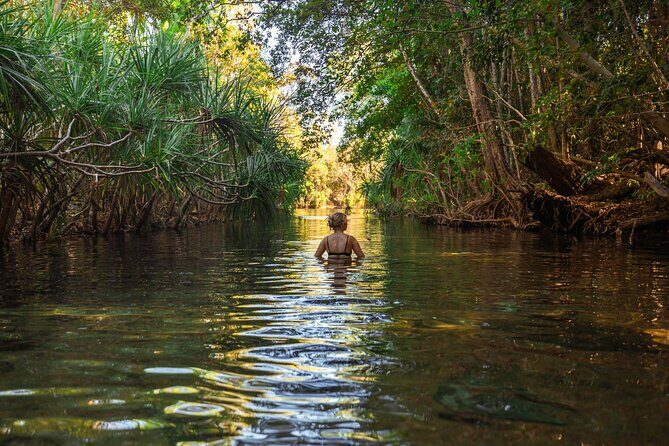 ETHICAL ADVENTURES - 1 Day premium Litchfield tour, small group - The Experience from the Traveler’s Perspective