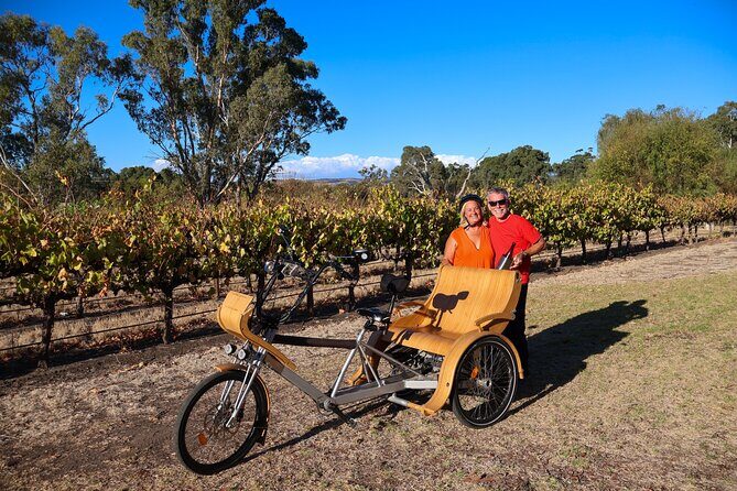 eTukTuk Adventure from Oxenberry Farm in McLaren Vale - The Value of the eTukTuk Adventure