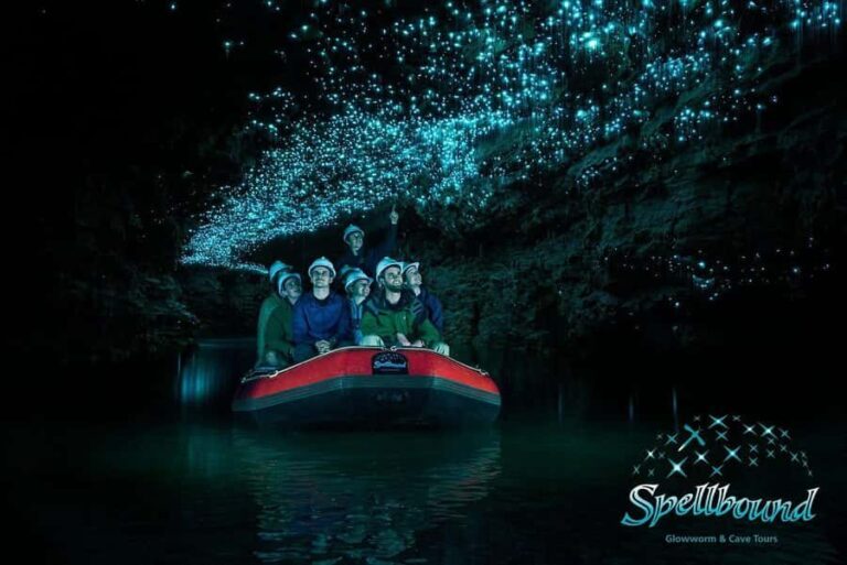 Ex Auckland Spellbound Glowworm & Cave Explorer Private Tour - A Deep Dive into the Experience