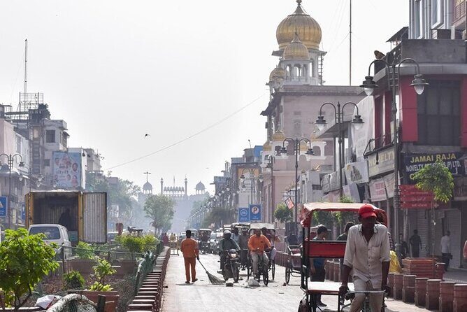 Ex-Delhi: Highlights of Delhi - Private Guided Tour by Car - What to Expect and Tips for a Smooth Experience