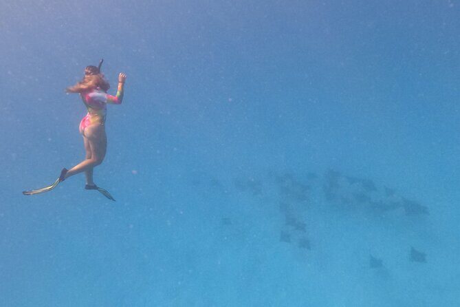 Exceptional Half Day on the Bora Bora Lagoon in Combo - Why This Tour Works for You