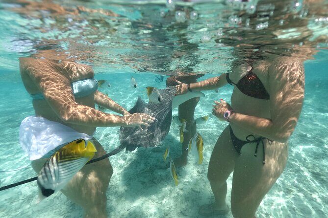 Exceptional Half day on the turquoise lagoon of Bora Bora - Practical Details and Considerations