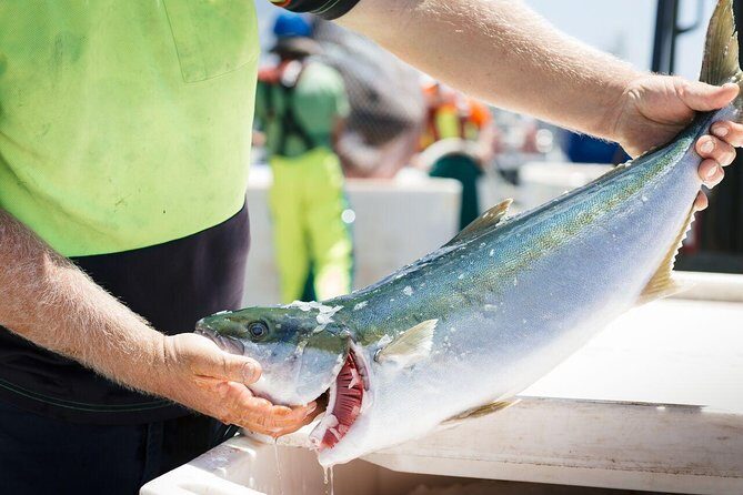 Exceptional Port Lincoln, Seafood and Wildlife Tour - Why This Tour Offers Excellent Value