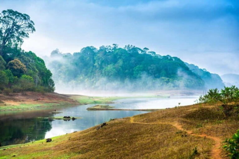 Exclusive, Backwater of Kerala & Houseboat Tour (06 Days) - Day 3: Munnars Natural Wonders
