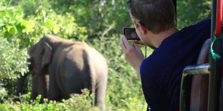 Exclusive : Full-Day Leopard Safari Yala With Picnic Lunch - The Itinerary: What You Can Expect