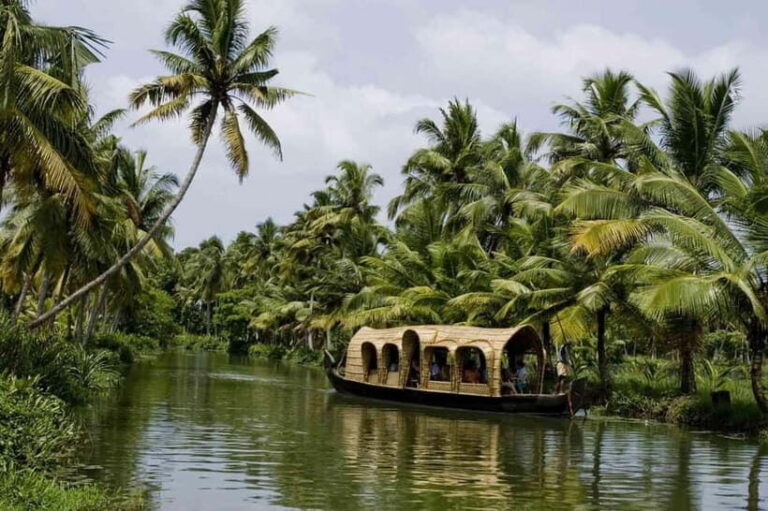 Exclusive Same Day Kerala Houseboat Cruise Tour in Alleppey - What’s Included and What to Keep in Mind
