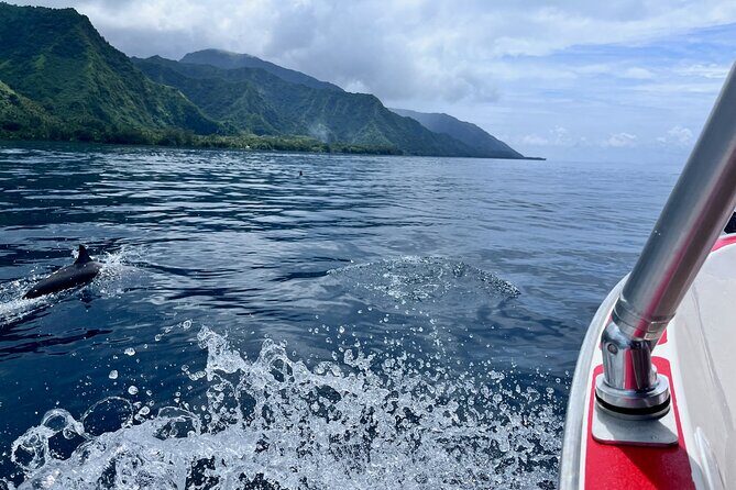 Excursion to discover the authentic Tahiti Peninsula 4:00 - What to Expect: A Step-by-Step Breakdown