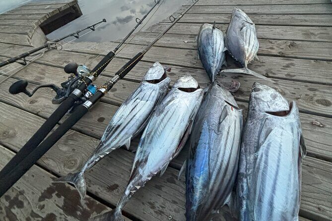 Exit fishing wholesale - A Deep Dive into the Experience
