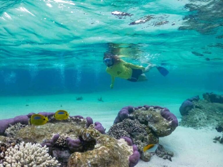 Exmouth: Half Day Coral by Kayak tour - The Itinerary Breakdown and Why It Matters