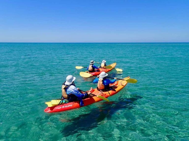 Exmouth: Half Day Turtle Kayak & Snorkel Tour - Final Thoughts